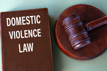 Brown book with the text DOMESTIC VIOLENCE LAW with a judge's gavel