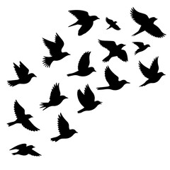 Stunning flock of birds soaring freely, symbolizing hope and new beginnings, perfect for inspirational designs and nature-themed projects, modern and elegant art