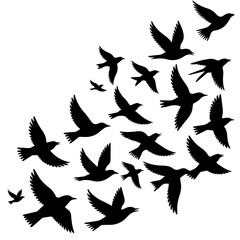 vector silhouettes of birds