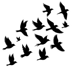 Elegant flock of birds soaring freely, symbol of hope and aspiration, conveys a sense of migration, perfect for inspirational designs and nature themed projects