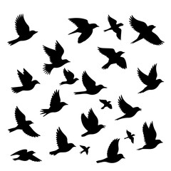 Elegant flock of flying birds silhouette art for freedom designs, migration projects, wildlife conservation campaigns, or peaceful nature themes, simple and bold