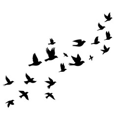 Graceful flock of birds in flight symbolizing freedom and migration, perfect for nature designs, inspirational themes, or minimalist art projects