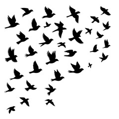 Elegant flock of birds flying in silhouette, modern and minimalist design for inspirational freedom concepts, beautiful for wall art and symbolic projects
