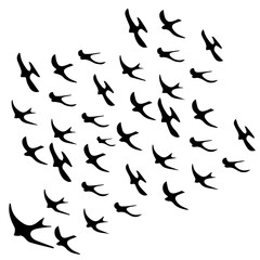 Graceful silhouettes of swallows in flight evoke freedom and migration, offering a symbol of hope, travel, and natural beauty for creative designs and projects