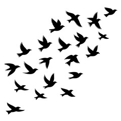 Graceful flock of birds soaring together in silhouette, freedom and migration concept, perfect for nature lovers, inspirational designs, and peaceful themes