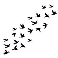 Graceful flock of birds in silhouette taking flight evokes themes of freedom, migration, and natural beauty for designs needing an uplifting touch of nature