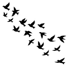 Graceful flight of birds silhouette, a symbol of freedom and migration, perfect for nature designs, inspirational projects, or spiritual themes, soaring high