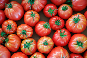 Fresh organic tomatoes presenting vibrant red harvest color. Ripe organic tomatoes filling the frame, displaying natural textures and green stems.