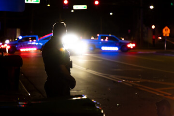 Law enforcement at night