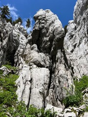 Strict nature reserve White rocks (Croatia) - Strenges Naturschutzgebiet Bijele Stijene (Kroatien) - Strogi rezervat prirode Bijele stijene, Ogulin (Gorski kotar, Hrvatska)