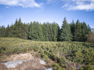 Konyarnika area at Vitosha Mountain, Bulgaria