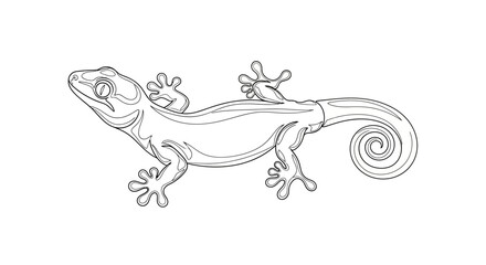 Elegant gecko line art illustration with curled tail offering a minimal and artistic reptile