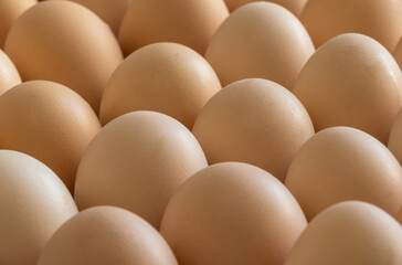 High angle view of a group of symmetrically arranged chicken eggs