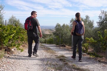 A man and a woman walk along a gravel path surrounded by vineyards and olive trees on a sunny day in the Mediterranean countryside.