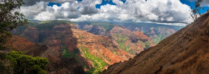 Also known as the Grand Canyon of the Pacific, this scenic state park overlooks the colorful Waimea...
