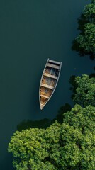 Aerial view shows a wooden boat floating on dark water, framed by lush green trees