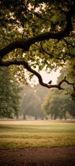 A peaceful park scene framed by a tree branch, a lone bird perched, and soft sunlight filters through