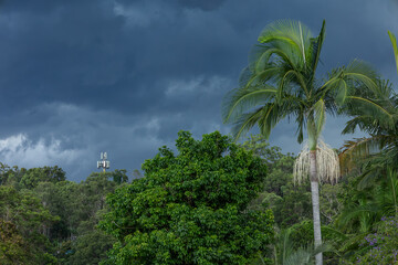 A palm tree, a communication tower, and lush green trees and vegetation seen against a stormy backdrop of threatening, dark clouds at Burleigh Heads on the Gold Coast in Queensland, Australia.