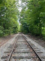 Obraz premium Midwest railway in the forest