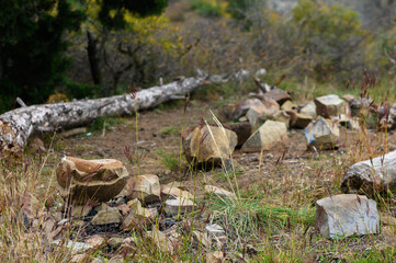 Mountain Picnic Spot with Logs and Rocks