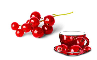 red currant and the outline of a cup and saucer