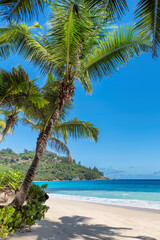 Tropical beach with palms and turquoise sea in Caribbean island.