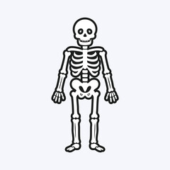 Skeleton full body in flat outline style