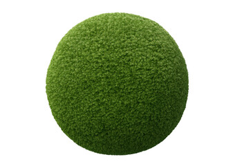 Green spherical topiary bush displaying dense foliage and natural texture. Rendered on a transparent background, ready for garden design