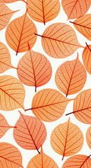 Obraz premium Translucent red leaves arranged on a white backdrop creating a pattern. A close-up, detailed shot shows intricate veins and cell structures. Autumn colors, botanical design, nature pattern.