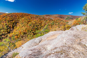 Rolling hills and foliage seen from an overlook in Virginia’s Shenandoah region. A clear sky adds contrast to the warm seasonal hues.