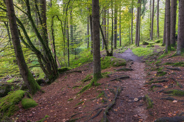 Herbststimmung im Aisttal, Österreich