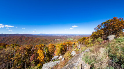 Vast autumn landscape of Shenandoah Valley under a clear blue sky.
