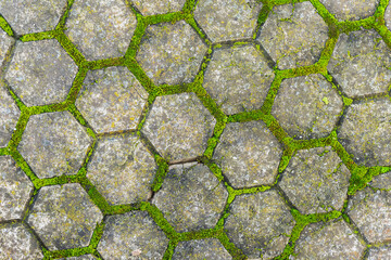 Old hexagonal stone pavement with green moss growing between cracks, creating natural geometric texture. Concept of nature reclaiming, urban decay beauty, natural vintage background