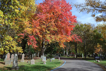 Park-like cemetery with fall colors, Mount Pleasant Cemetery in Toronto