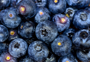 Ripe Blueberries on Flat Surface Close-Up