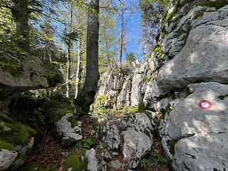 Mountaineering markings and trails on Velebit (Strict Nature Reserve White rocks, Croatia) - Planinarske markacije i staze na Velebitu (Strogi rezervat prirode Bijele stijene, Hrvatska)