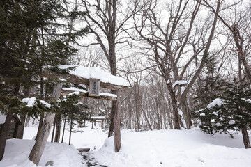 北海道斜里町パワースポット来運神社は雪の中