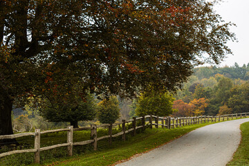 Country path under the Autumn trees in the countryisde
Greys Court, Oxfordshire, UK