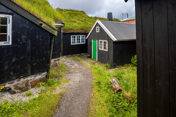 Traditional turf-roofed wooden house with green door along a small path