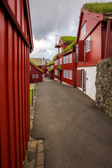 Traditional red turf-roofed wooden houses along a quiet street