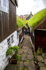 Historic cobblestone alley with turf-roofed houses and a potted plant