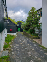 Charming cobblestone alley with traditional wooden houses