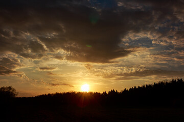 Simply gorgeous evening sunset painting the sky with warm golden hues above a serene forest silhouette and field