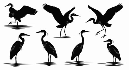 Obraz premium Silhouette illustration of a group of herons in various poses standing and flying in water bodies scene