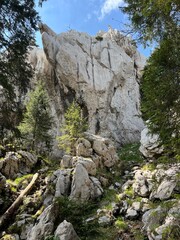 Strict nature reserve White rocks (Croatia) - Strenges Naturschutzgebiet Bijele Stijene (Kroatien) - Strogi rezervat prirode Bijele stijene, Ogulin (Gorski kotar, Hrvatska)