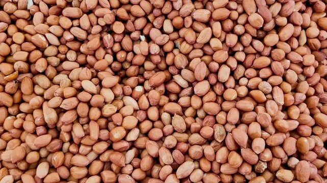 Full Frame Close-up of a Large Quantity of Raw, Shelled Peanuts