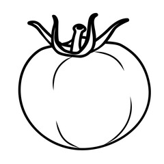 Vector line art illustration of tomato in black and white, showing smooth round shape and stem details, perfect for botanical art, coloring pages, or healthy food designs.