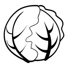 Vector line art illustration of cabbage in black and white, showing fine leaf details, ideal for coloring pages, botanical prints, or minimalist food design projects.