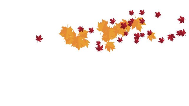 Falling maple leaves animation with soft motion and autumn atmosphere