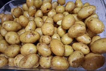 Portuguese Homemade Meal Norwich Norfolk United Kingdom October 26 2025